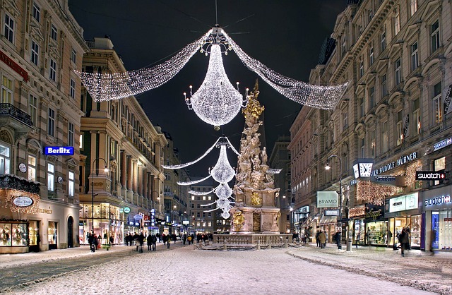 Vienne en hiver