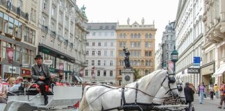 Que faire à Vienne ?